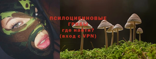 apvp Алексин