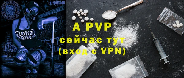apvp Алексин