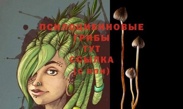 apvp Алексин