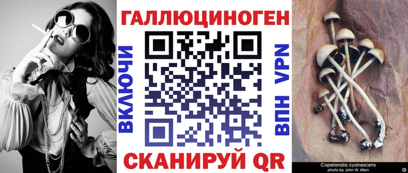 Псилоцибиновые грибы Psilocybe  как найти закладки  Петровск-Забайкальский 